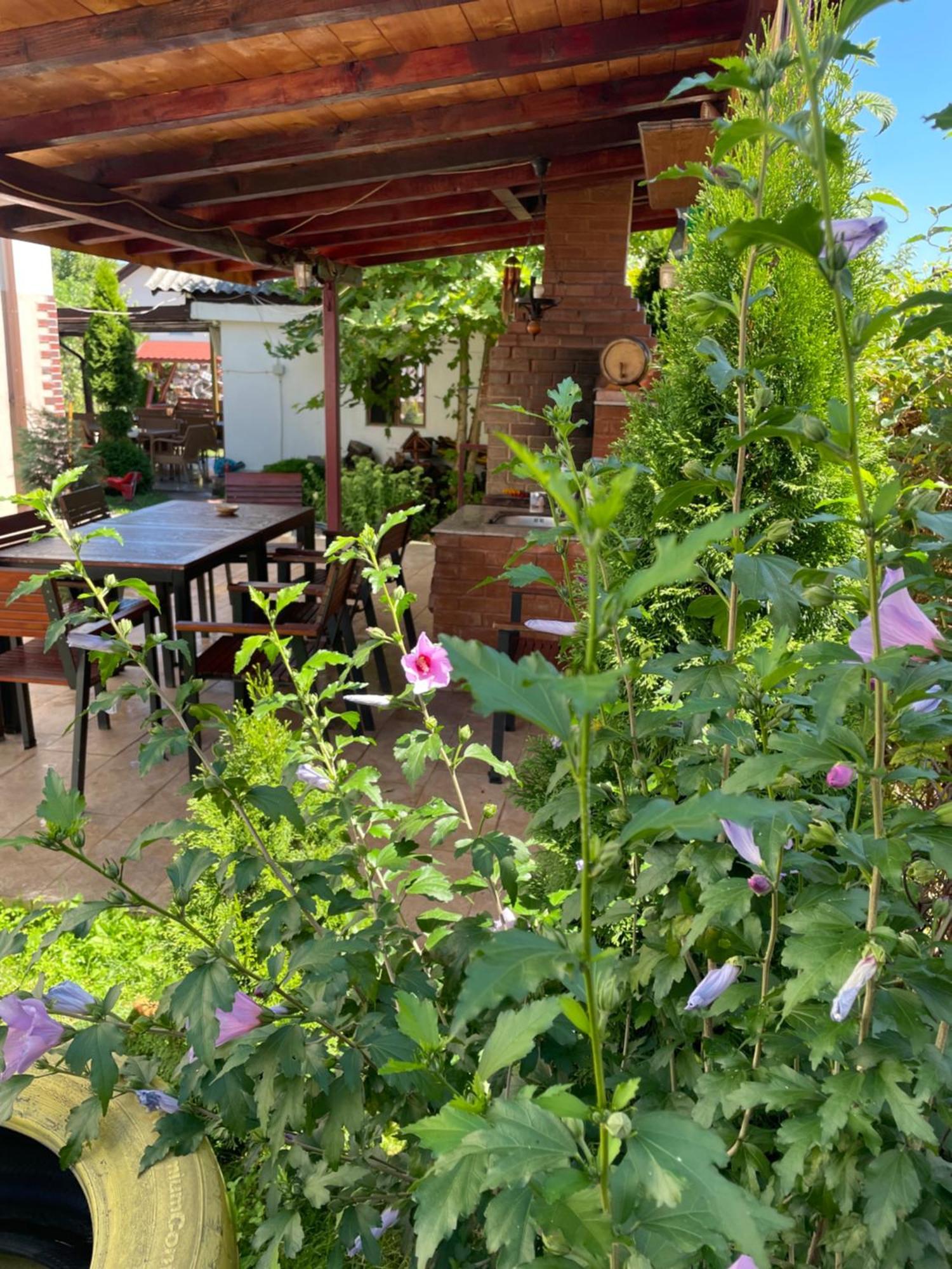 Pensiunea Casa Rica Călimăneşti المظهر الخارجي الصورة
