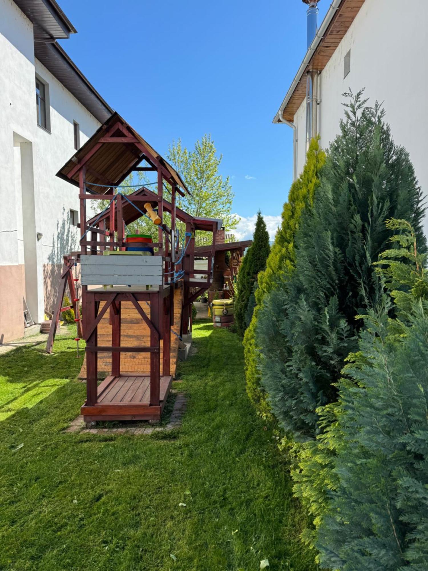 Pensiunea Casa Rica Călimăneşti المظهر الخارجي الصورة
