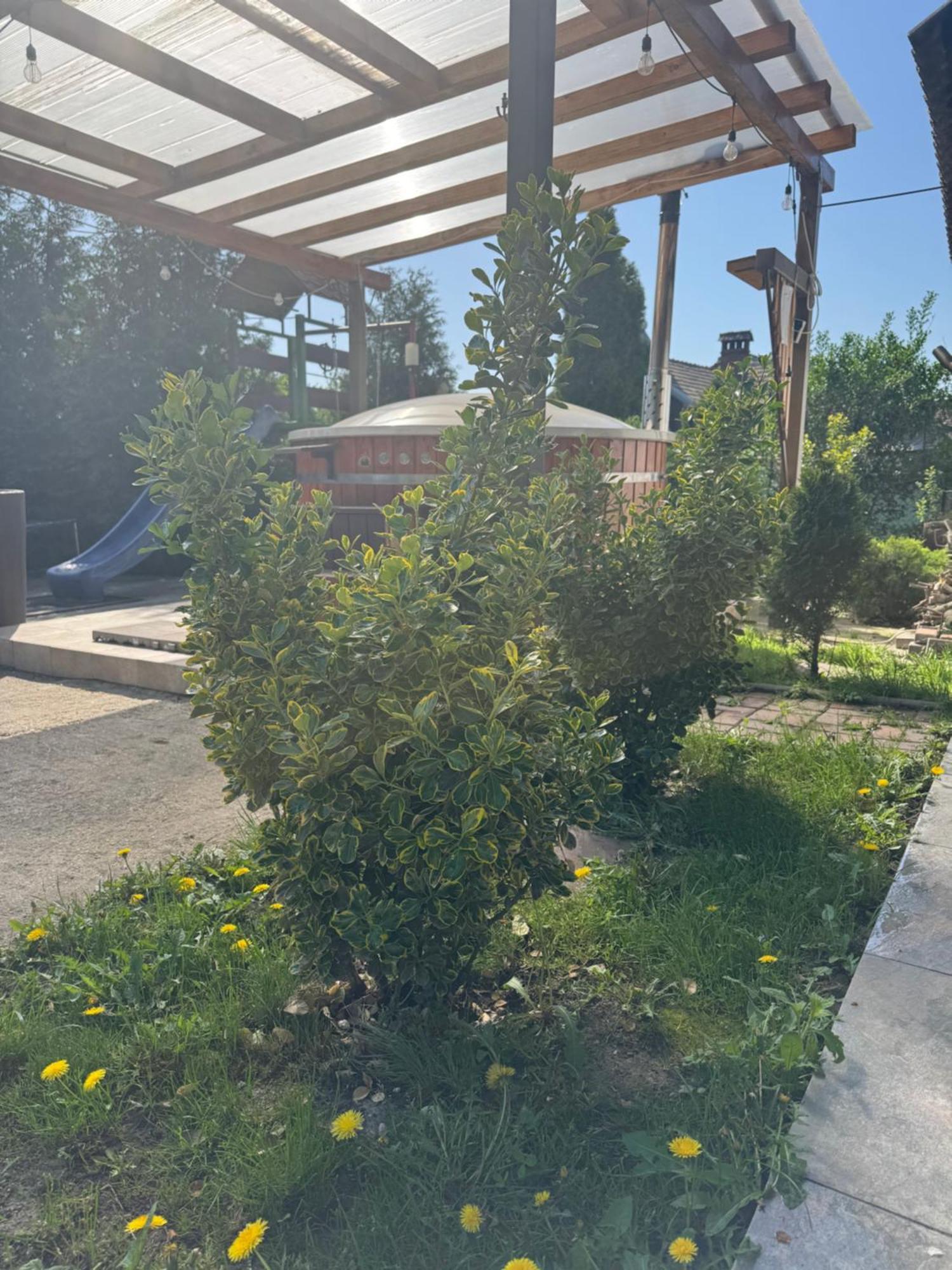 Pensiunea Casa Rica Călimăneşti المظهر الخارجي الصورة